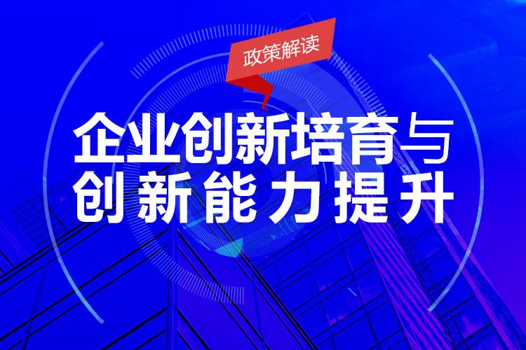 政府科技创新补助政策，推动科技进步与社会发展的强大引擎