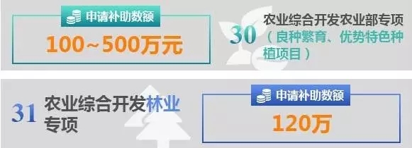 政府补贴农业项目深度解析