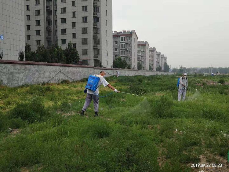 灾后重建家园与社区治理，共筑美好未来