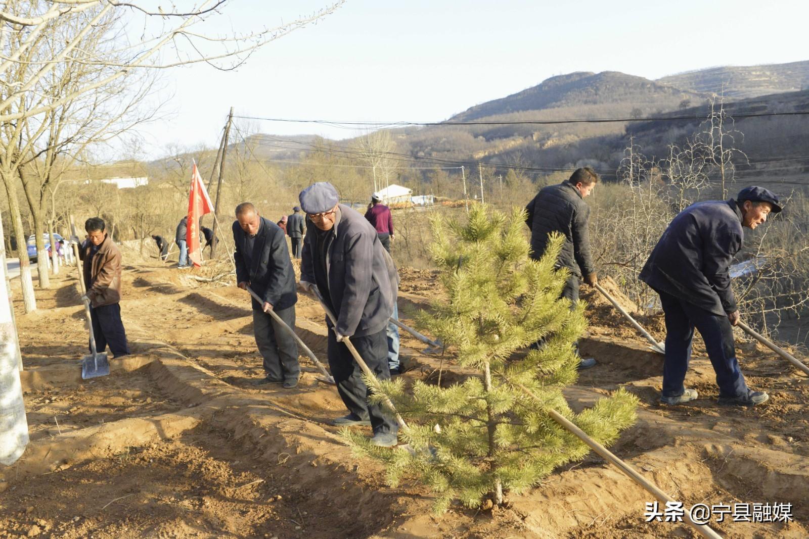 灾后重建家园，提升社区参与度规划路径研究