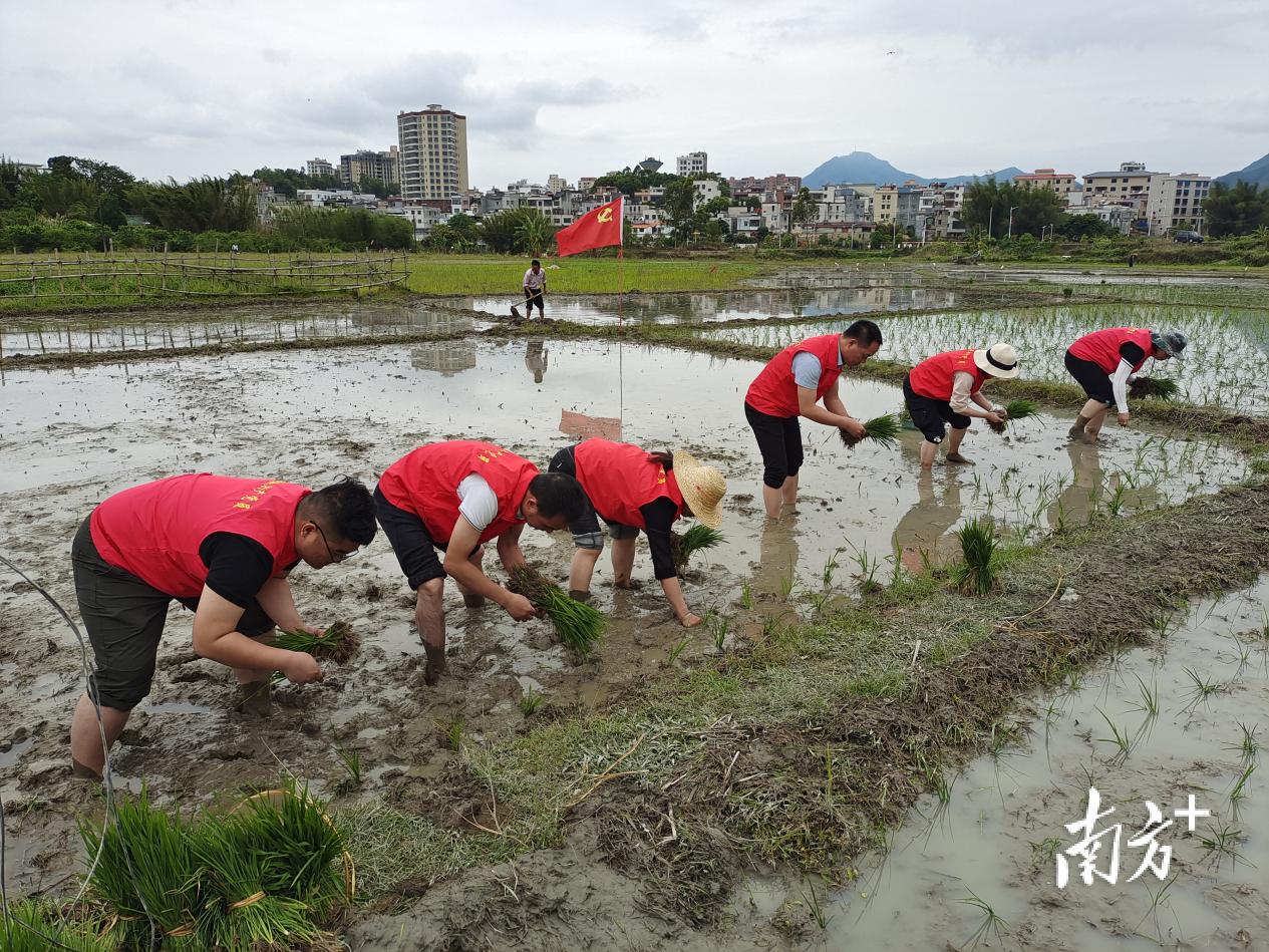 陆河水唇镇人民政府新闻发布