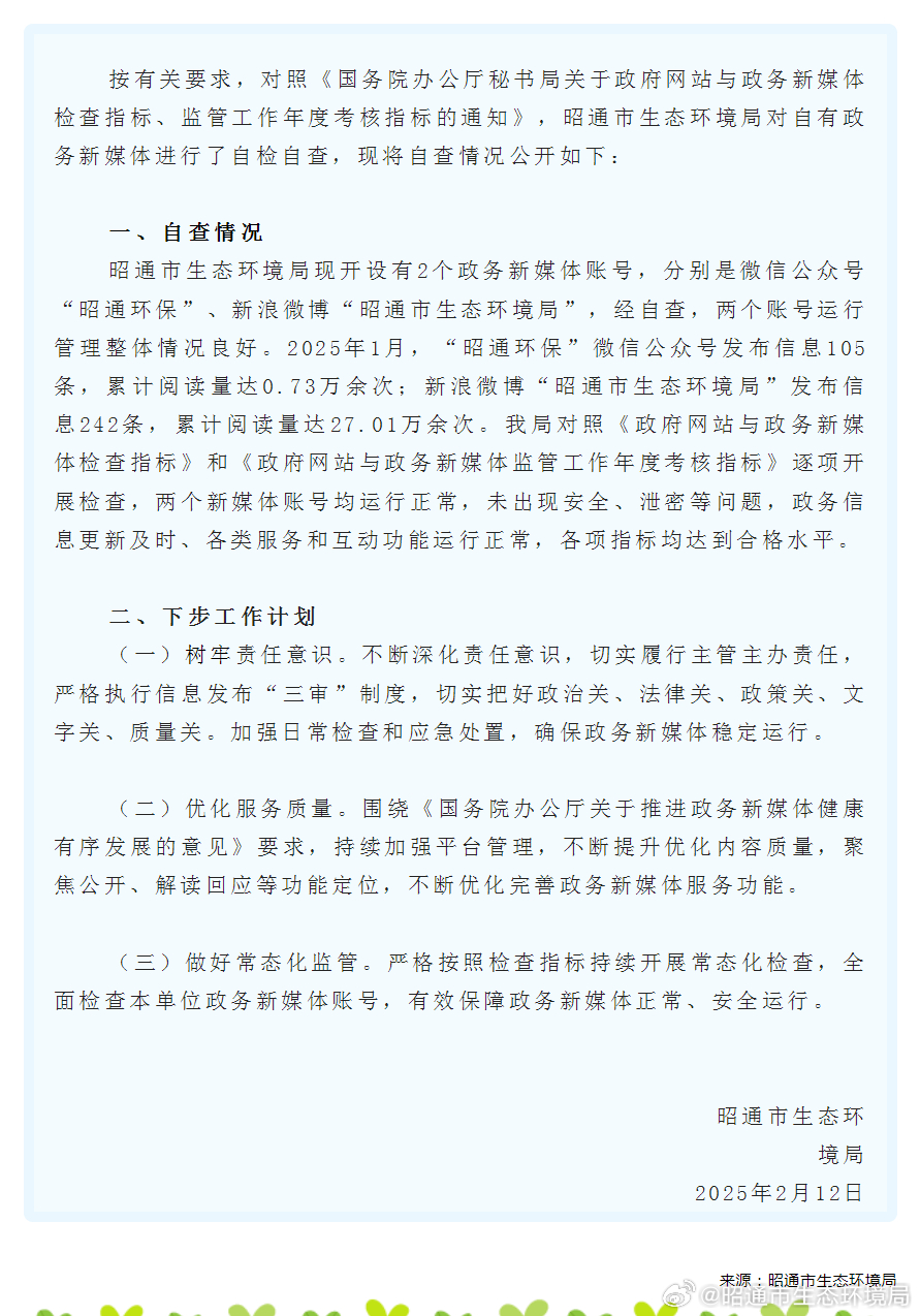 新闻中心自查报告政府网，提升服务质量与内部管理效率